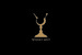 Whisky Mist - Club | Lounge in London.