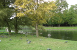 Regents-park_s159
