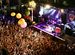 Ibiza Rocks Hotel - Concert Venue | Hotel in Ibiza.