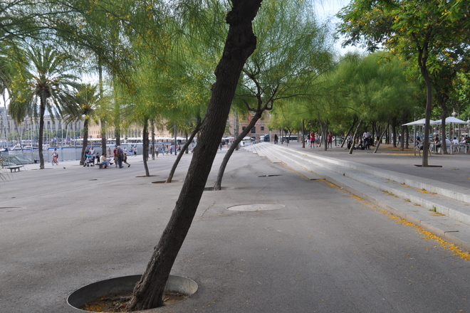 Photo of Port Olimpic / Barceloneta, Barcelona