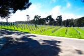 The-presidio_s165x110