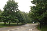 Hyde-park_s159